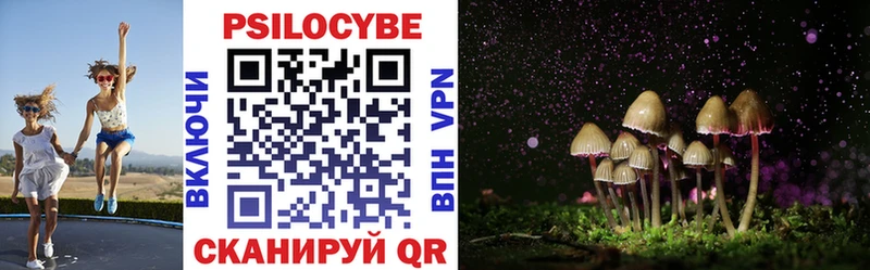 KRAKEN ссылка  где найти наркотики  Оха  Псилоцибиновые грибы Magic Shrooms 